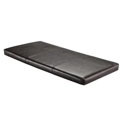 Winsome Paige Seat Cushion