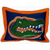 Florida Gators Logo Pillow