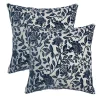 HFI Botany Class 2-piece Throw Pillow Set