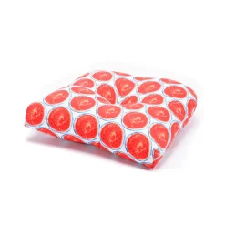 Terrasol One In A Melon Indoor Outdoor Chair Cushion