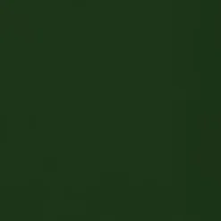 Sorra Home Hunter Green Egg Chair Cushion -Safavieh Store 6153784 ALT2