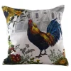 Golden Hill Studio 18" Brown Colorful Rooster And Hen House Background Throw Pillow Cover -Safavieh Store 6195240